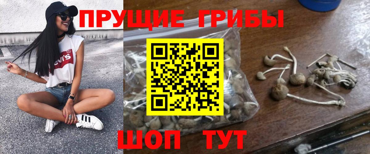 Маркс  Галлюциногенные грибы прущие грибы  Вход с VPN 